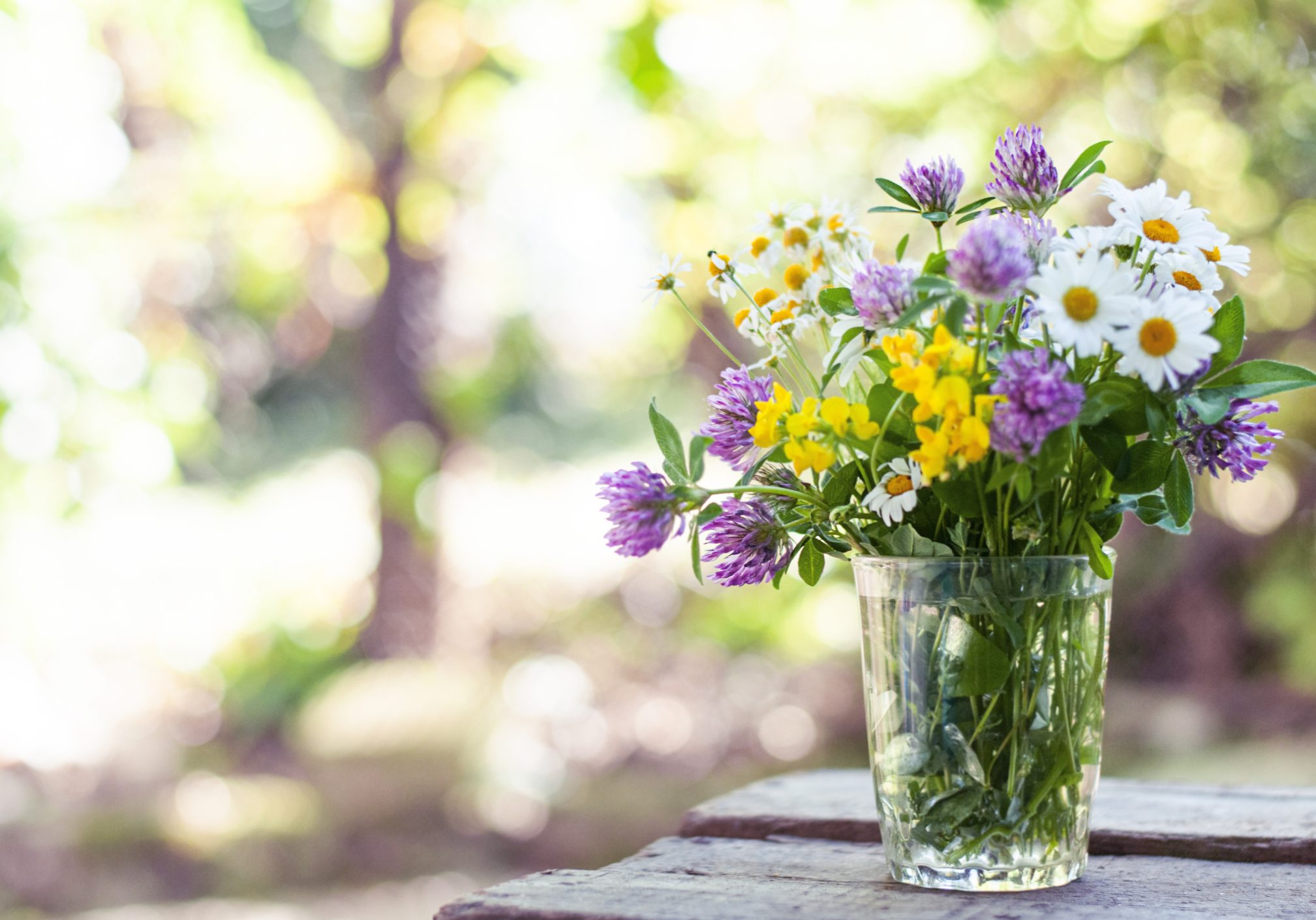 Bouquet of wildflowers on the wood table Bouquet of wildflowers on the wood table in the blurred nature background