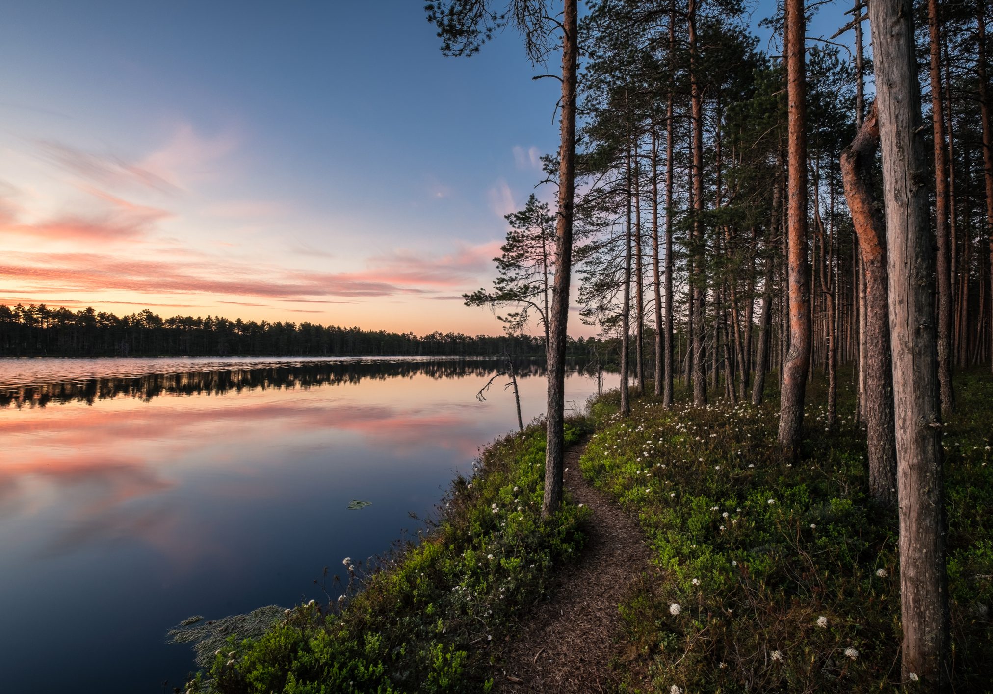 Scenic lake view with idyllic path and sunset at peaceful evening in National Park, Finland Scenic lake view with idyllic path and sunset at peaceful evening in National Park, Finland
